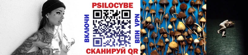нарко площадка Telegram  купить  цена  Магадан  Галлюциногенные грибы Psilocybe 